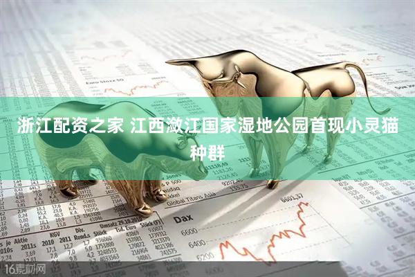 浙江配资之家 江西潋江国家湿地公园首现小灵猫种群